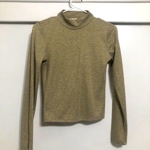 Long sleeve turtle neck